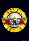Guns N